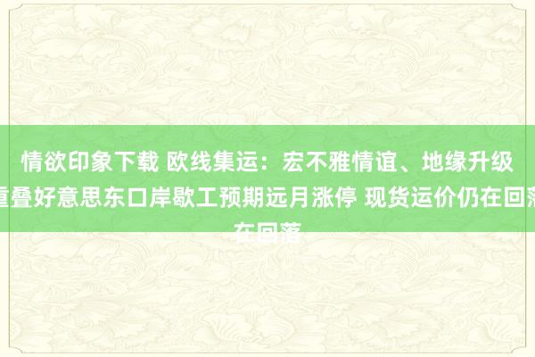 情欲印象下载 欧线集运：宏不雅情谊、地缘升级重叠好意思东口岸歇工预期远月涨停 现货运价仍在回落