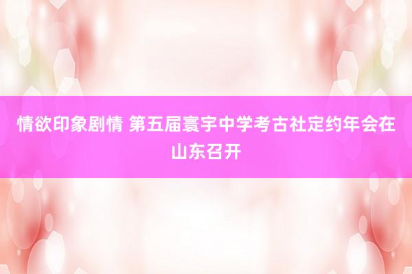 情欲印象剧情 第五届寰宇中学考古社定约年会在山东召开