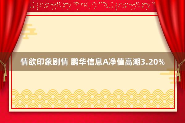 情欲印象剧情 鹏华信息A净值高潮3.20%