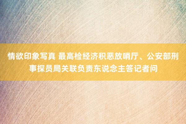 情欲印象写真 最高检经济积恶放哨厅、公安部刑事探员局关联负责东说念主答记者问