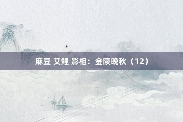 麻豆 艾鲤 影相：金陵晚秋（12）