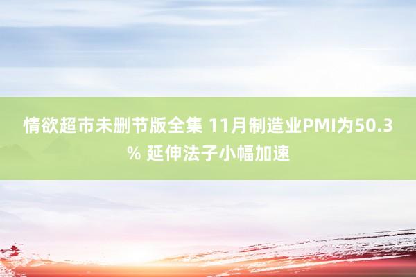 情欲超市未删节版全集 11月制造业PMI为50.3% 延伸法子小幅加速