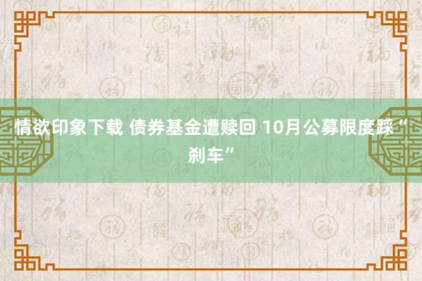 情欲印象下载 债券基金遭赎回 10月公募限度踩“刹车”