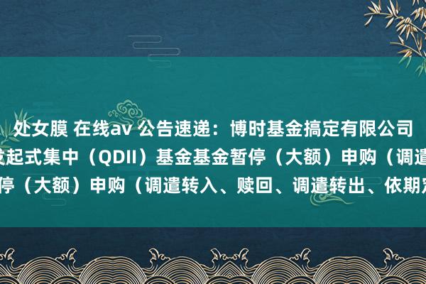 处女膜 在线av 公告速递：博时基金搞定有限公司博时纳斯达克100ETF发起式集中（QDII）基金基金暂停（大额）申购（调遣转入、赎回、调遣转出、依期定额投资）