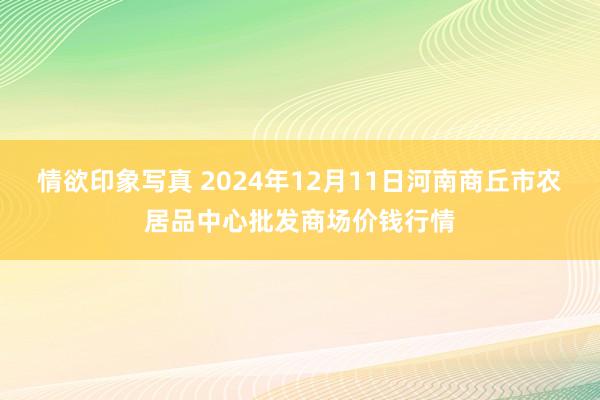 情欲印象写真 2024年12月11日河南商丘市农居品中心批发商场价钱行情