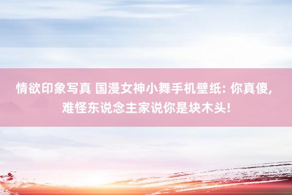 情欲印象写真 国漫女神小舞手机壁纸: 你真傻， 难怪东说念主家说你是块木头!