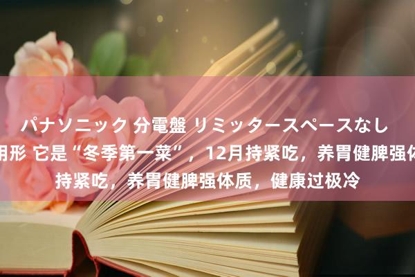 パナソニック 分電盤 リミッタースペースなし 露出・半埋込両用形 它是“冬季第一菜”，12月持紧吃，养胃健脾强体质，健康过极冷