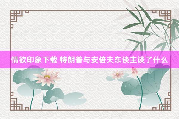 情欲印象下载 特朗普与安倍夫东谈主谈了什么