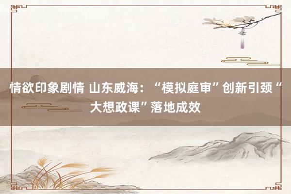 情欲印象剧情 山东威海：“模拟庭审”创新引颈“大想政课”落地成效