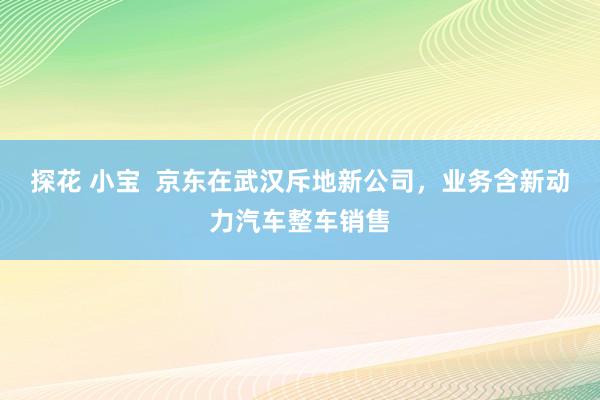 探花 小宝  京东在武汉斥地新公司，业务含新动力汽车整车销售