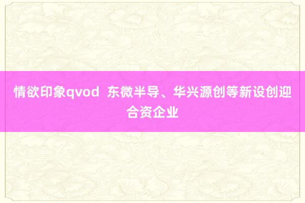 情欲印象qvod  东微半导、华兴源创等新设创迎合资企业