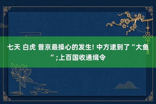 七天 白虎 普京最操心的发生! 中方逮到了“大鱼”;上百国收通缉令
