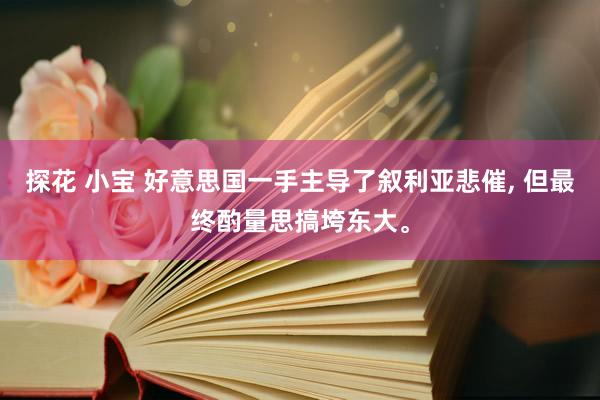 探花 小宝 好意思国一手主导了叙利亚悲催， 但最终酌量思搞垮东大。
