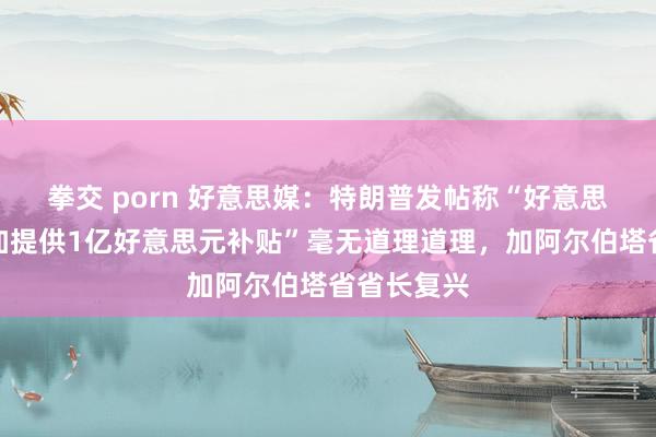 拳交 porn 好意思媒：特朗普发帖称“好意思国每年为加提供1亿好意思元补贴”毫无道理道理，加阿尔伯塔省省长复兴