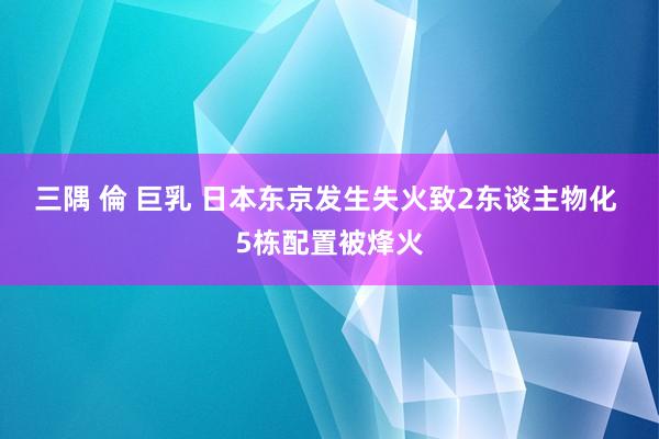 三隅 倫 巨乳 日本东京发生失火致2东谈主物化 5栋配置被烽火