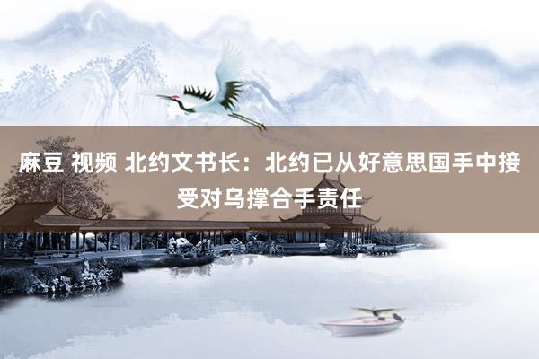 麻豆 视频 北约文书长：北约已从好意思国手中接受对乌撑合手责任