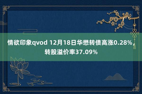 情欲印象qvod 12月18日华懋转债高涨0.28%，转股溢价率37.09%