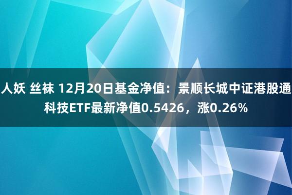 人妖 丝袜 12月20日基金净值：景顺长城中证港股通科技ETF最新净值0.5426，涨0.26%