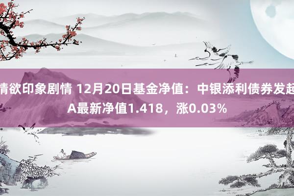 情欲印象剧情 12月20日基金净值：中银添利债券发起A最新净值1.418，涨0.03%