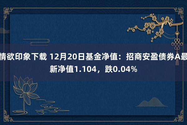 情欲印象下载 12月20日基金净值：招商安盈债券A最新净值1.104，跌0.04%