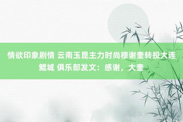情欲印象剧情 云南玉昆主力时尚穆谢奎转投大连鲲城 俱乐部发文：感谢，大奎