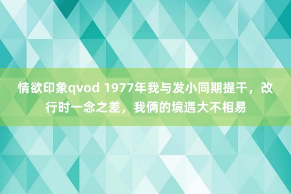 情欲印象qvod 1977年我与发小同期提干，改行时一念之差，我俩的境遇大不相易