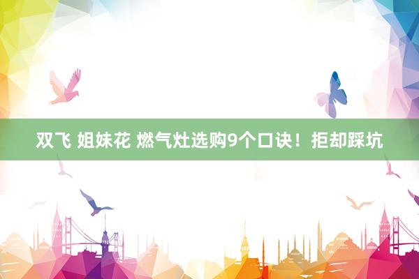 双飞 姐妹花 燃气灶选购9个口诀！拒却踩坑