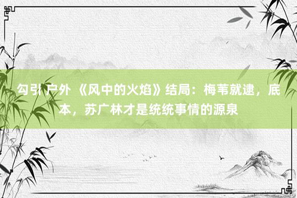 勾引 户外 《风中的火焰》结局：梅苇就逮，底本，苏广林才是统统事情的源泉