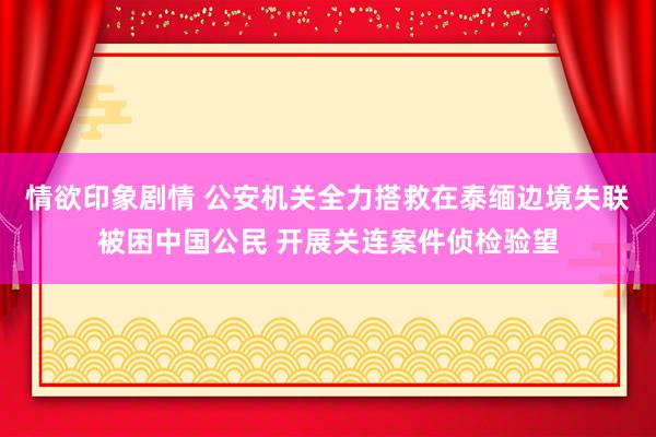 情欲印象剧情 公安机关全力搭救在泰缅边境失联被困中国公民 开展关连案件侦检验望