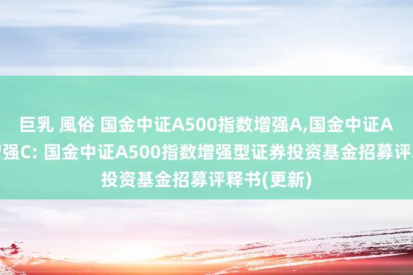 巨乳 風俗 国金中证A500指数增强A,国金中证A500指数增强C: 国金中证A500指数增强型证券投资基金招募评释书(更新)