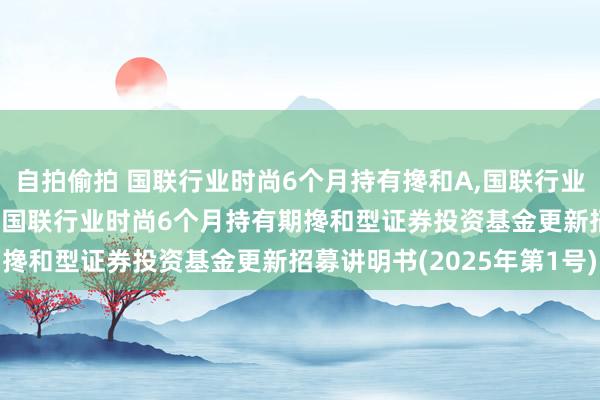 自拍偷拍 国联行业时尚6个月持有搀和A,国联行业时尚6个月持有搀和C: 国联行业时尚6个月持有期搀和型证券投资基金更新招募讲明书(2025年第1号)