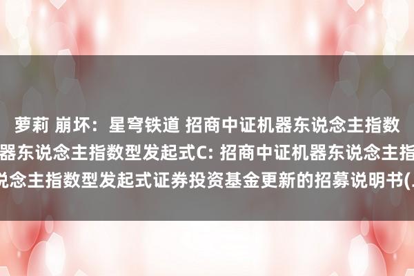 萝莉 崩坏:星穹铁道 招商中证机器东说念主指数型发起式A,招商中证机器东说念主指数型发起式C: 招商中证机器东说念主指数型发起式证券投资基金更新的招募说明书(二零二五年第一号)