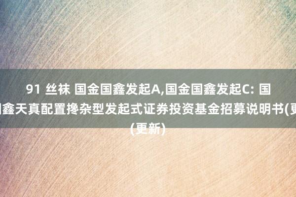 91 丝袜 国金国鑫发起A,国金国鑫发起C: 国金国鑫天真配置搀杂型发起式证券投资基金招募说明书(更新)