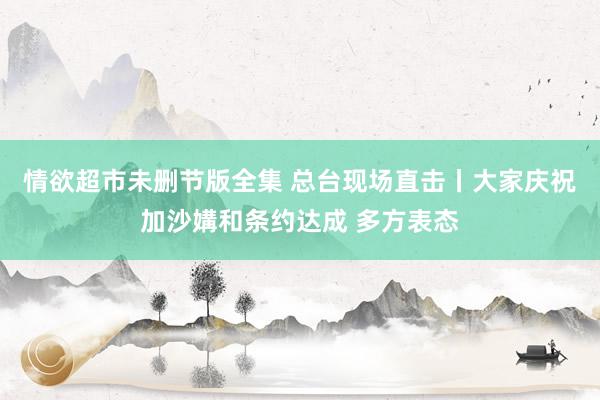 情欲超市未删节版全集 总台现场直击丨大家庆祝加沙媾和条约达成 多方表态
