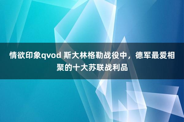 情欲印象qvod 斯大林格勒战役中，德军最爱相聚的十大苏联战利品