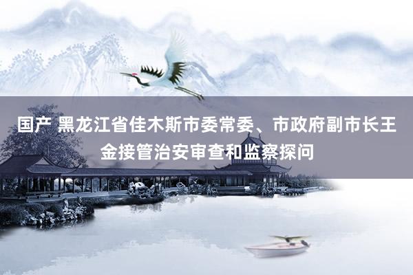 国产 黑龙江省佳木斯市委常委、市政府副市长王金接管治安审查和监察探问