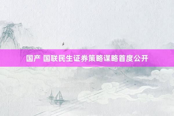 国产 国联民生证券策略谋略首度公开