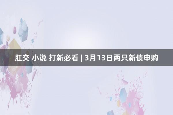 肛交 小说 打新必看 | 3月13日两只新债申购