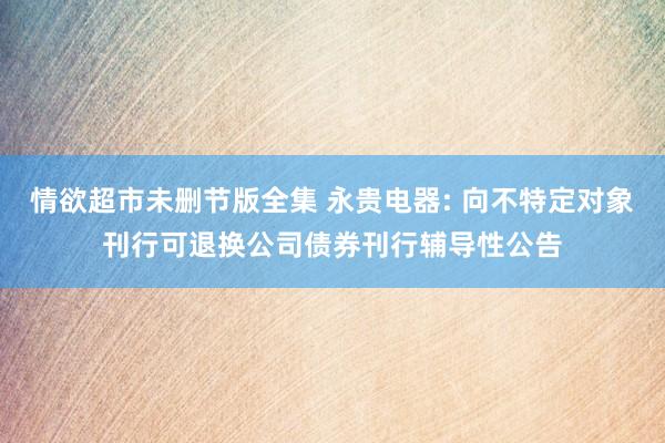情欲超市未删节版全集 永贵电器: 向不特定对象刊行可退换公司债券刊行辅导性公告
