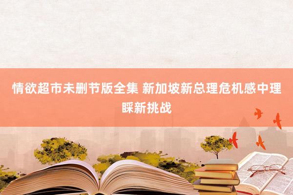 情欲超市未删节版全集 新加坡新总理危机感中理睬新挑战