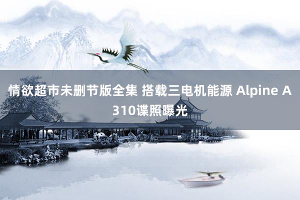 情欲超市未删节版全集 搭载三电机能源 Alpine A310谍照曝光