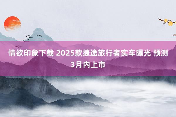情欲印象下载 2025款捷途旅行者实车曝光 预测3月内上市