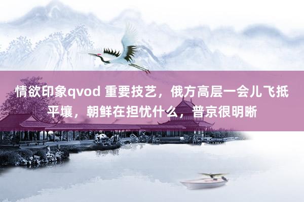 情欲印象qvod 重要技艺，俄方高层一会儿飞抵平壤，朝鲜在担忧什么，普京很明晰