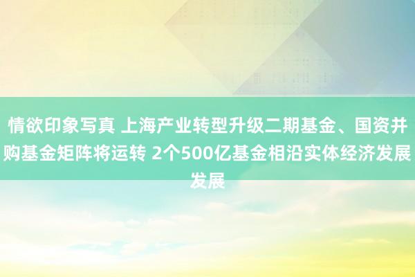 情欲印象写真 上海产业转型升级二期基金、国资并购基金矩阵将运转 2个500亿基金相沿实体经济发展