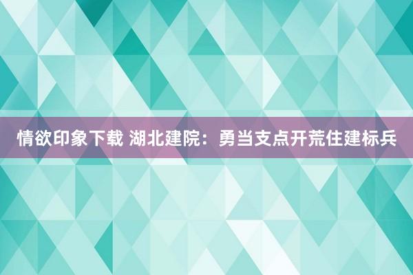 情欲印象下载 湖北建院：勇当支点开荒住建标兵