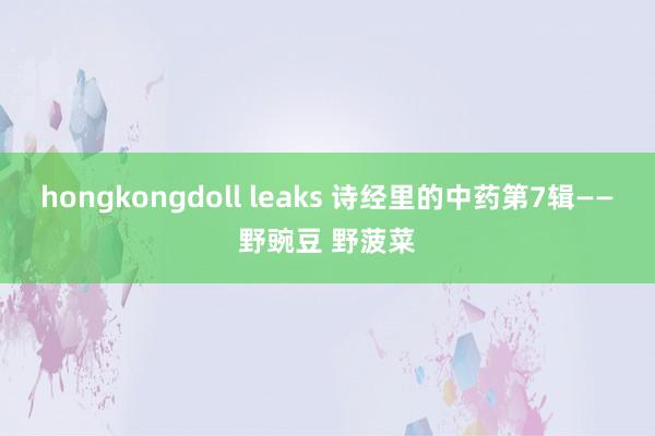 hongkongdoll leaks 诗经里的中药第7辑——野豌豆 野菠菜