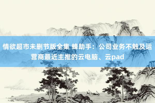 情欲超市未删节版全集 蜂助手：公司业务不触及运营商最近主推的云电脑、云pad