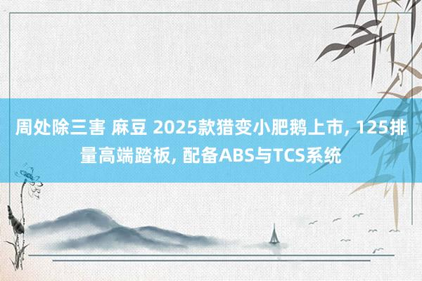 周处除三害 麻豆 2025款猎变小肥鹅上市， 125排量高端踏板， 配备ABS与TCS系统