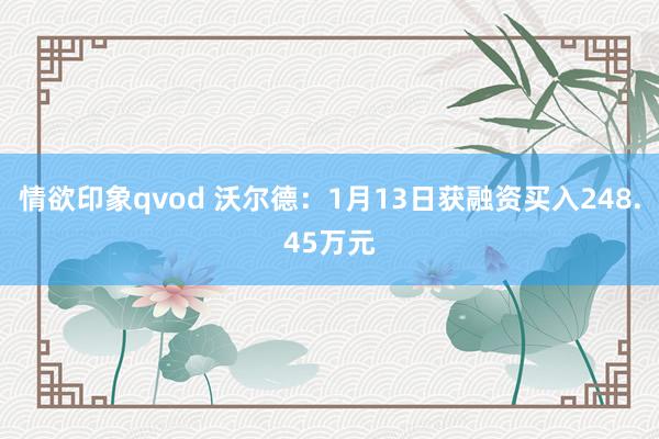 情欲印象qvod 沃尔德：1月13日获融资买入248.45万元