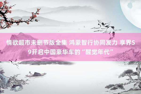情欲超市未删节版全集 鸿蒙智行协同发力 享界S9开启中国豪华车的“醒觉年代”